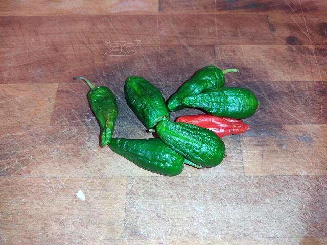 Les Pimientos de Padron